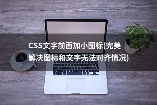 CSS文字前面加小图标(完美解决图标和文字无法对齐情况)