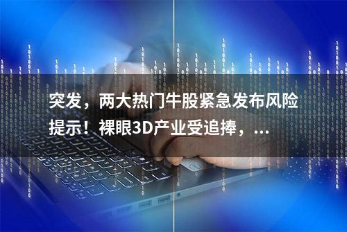 突发，两大热门牛股紧急发布风险提示！裸眼3D产业受追捧，这些高增长股值得关注