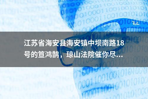 江苏省海安县海安镇中坝南路18号的笪鸿鹄，琼山法院催你尽快履行法律义务（6968）