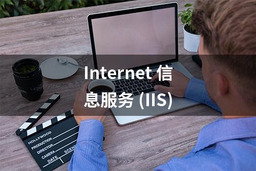 Internet 信息服务 (IIS)