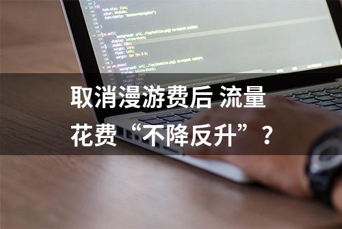 取消漫游费后 流量花费“不降反升”？