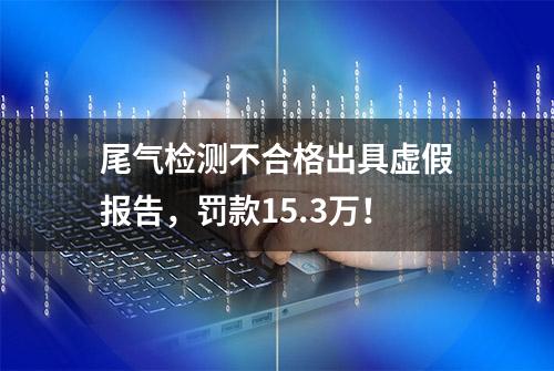 尾气检测不合格出具虚假报告，罚款15.3万！