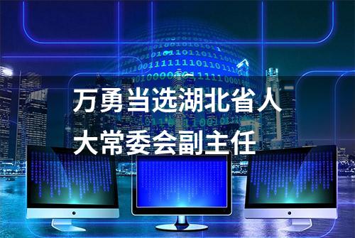 万勇当选湖北省人大常委会副主任