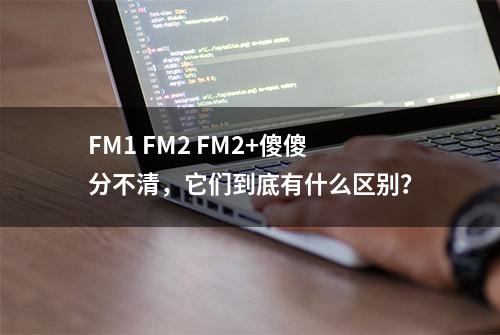 FM1 FM2 FM2+傻傻分不清，它们到底有什么区别？