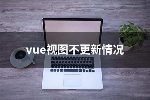 vue视图不更新情况