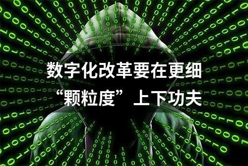 数字化改革要在更细“颗粒度”上下功夫