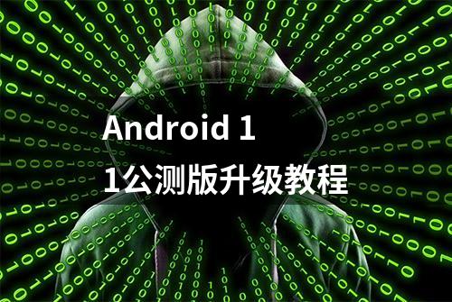 Android 11公测版升级教程