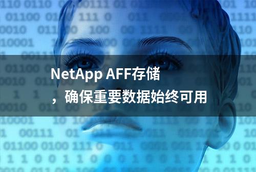 NetApp AFF存储，确保重要数据始终可用