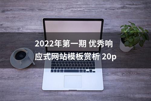 2022年第一期 优秀响应式网站模板赏析 20p