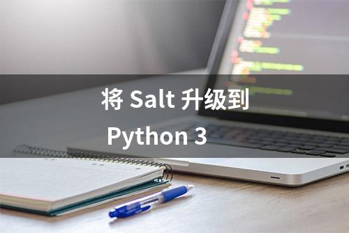 将 Salt 升级到 Python 3