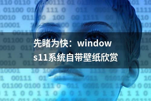 先睹为快：windows11系统自带壁纸欣赏