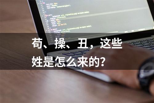 苟、操、丑，这些姓是怎么来的？