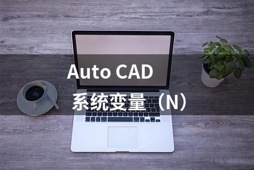 Auto CAD 系统变量（N）