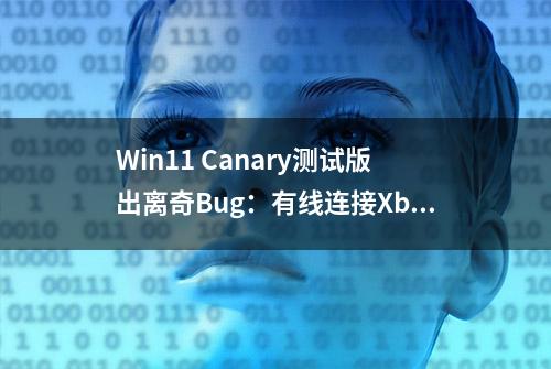 Win11 Canary测试版出离奇Bug：有线连接Xbox手柄将无法关机