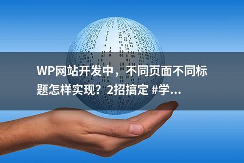 WP网站开发中，不同页面不同标题怎样实现？2招搞定 #学浪计划#