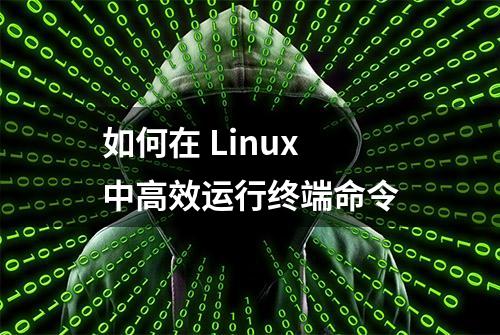 如何在 Linux 中高效运行终端命令