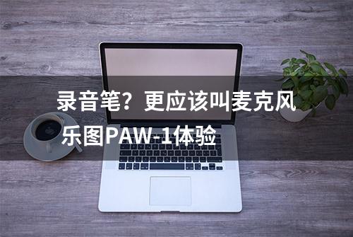 录音笔？更应该叫麦克风 乐图PAW-1体验