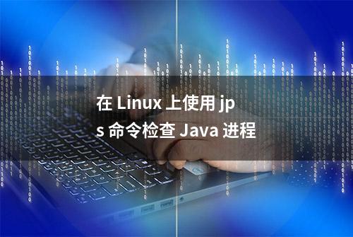 在 Linux 上使用 jps 命令检查 Java 进程