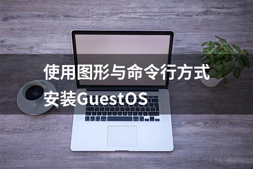 使用图形与命令行方式安装GuestOS