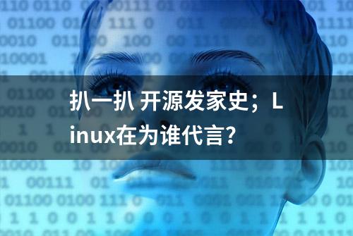 扒一扒 开源发家史；Linux在为谁代言？