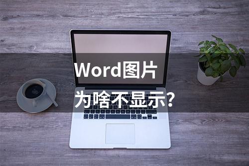 Word图片为啥不显示？