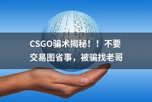 CSGO骗术揭秘！！不要交易图省事，被骗找老哥