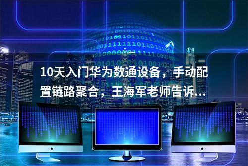 10天入门华为数通设备，手动配置链路聚合，王海军老师告诉你