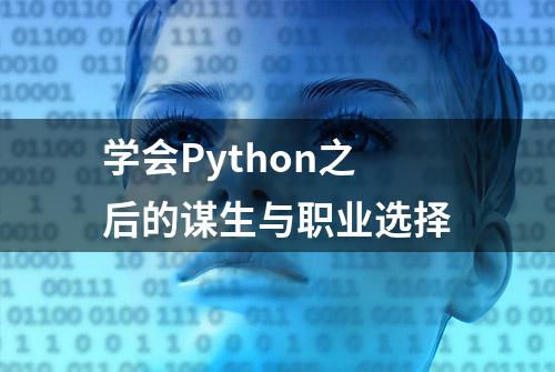 学会Python之后的谋生与职业选择