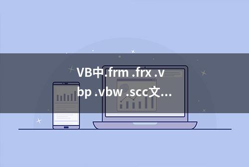 VB中.frm .frx .vbp .vbw .scc文件都有什么作用，你知道么？