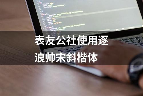 表友公社使用逐浪帅宋斜楷体