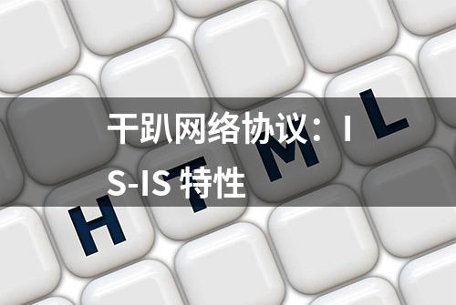 干趴网络协议：IS-IS 特性