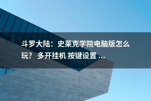 斗罗大陆：史莱克学院电脑版怎么玩？ 多开挂机 按键设置 教程