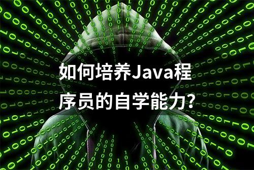 如何培养Java程序员的自学能力？