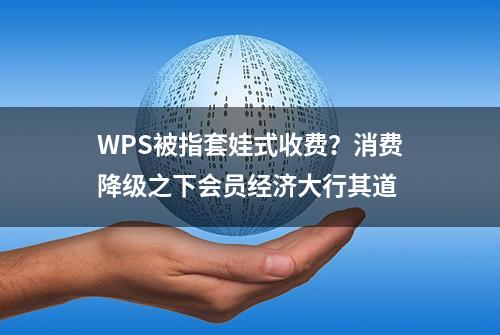 WPS被指套娃式收费？消费降级之下会员经济大行其道