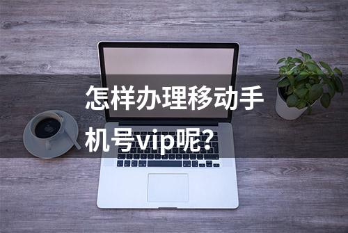 怎样办理移动手机号vip呢？