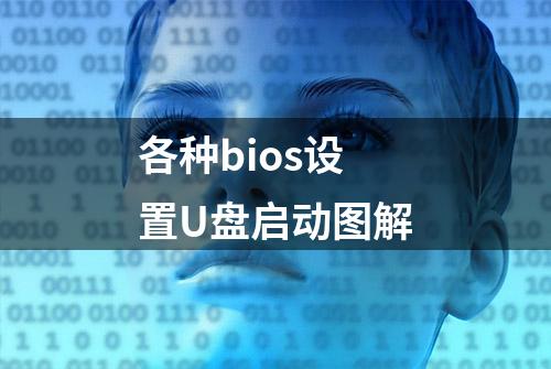 各种bios设置U盘启动图解