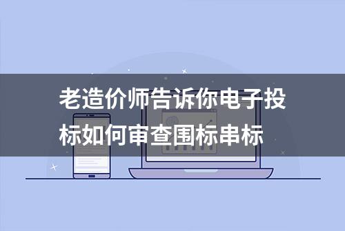 老造价师告诉你电子投标如何审查围标串标