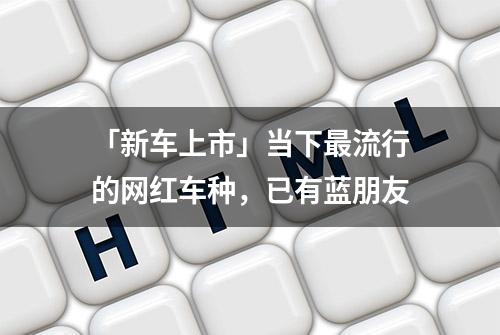 「新车上市」当下最流行的网红车种，已有蓝朋友