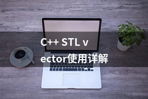 C++ STL vector使用详解