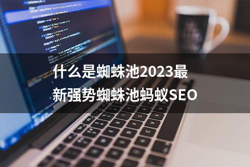 什么是蜘蛛池2023最新强势蜘蛛池蚂蚁SEO