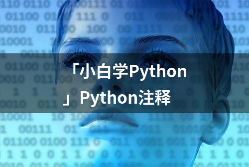 「小白学Python」Python注释