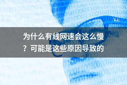 为什么有线网速会这么慢？可能是这些原因导致的