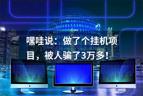 嘿哇说：做了个挂机项目，被人骗了3万多！