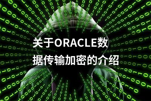 关于ORACLE数据传输加密的介绍