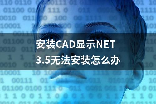 安装CAD显示NET3.5无法安装怎么办