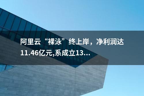 阿里云“裸泳”终上岸，净利润达11.46亿元,系成立13年来首次盈利