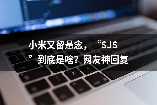 小米又留悬念，“SJS”到底是啥？网友神回复