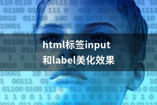 html标签input和label美化效果