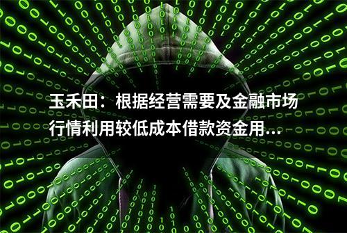 玉禾田：根据经营需要及金融市场行情利用较低成本借款资金用于生产经营