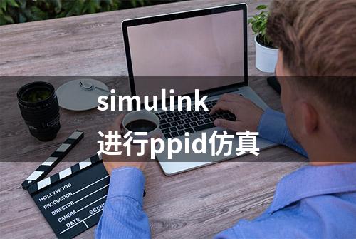 simulink进行ppid仿真